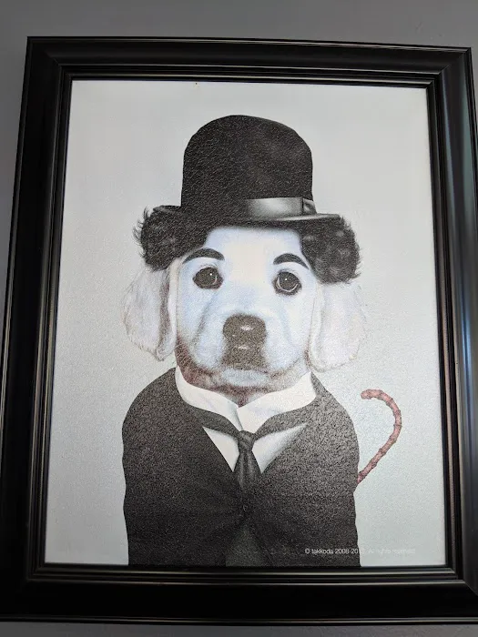 Crescenta Valley Veterinary Hospital Picture 5
