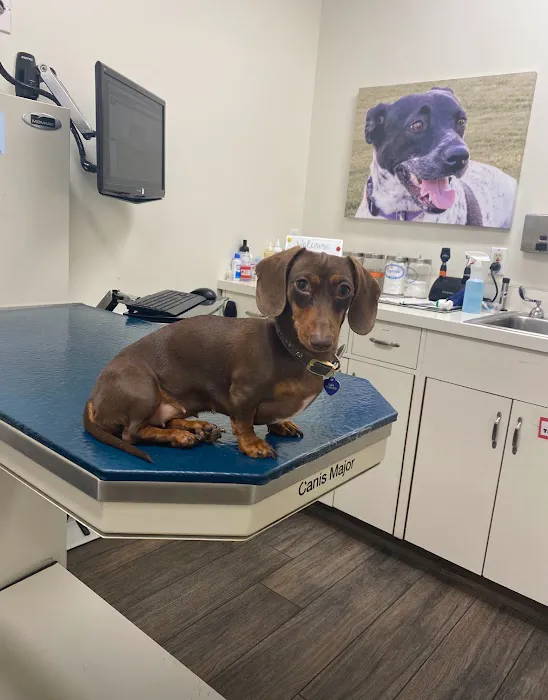 Media City Animal Hospital Picture 9