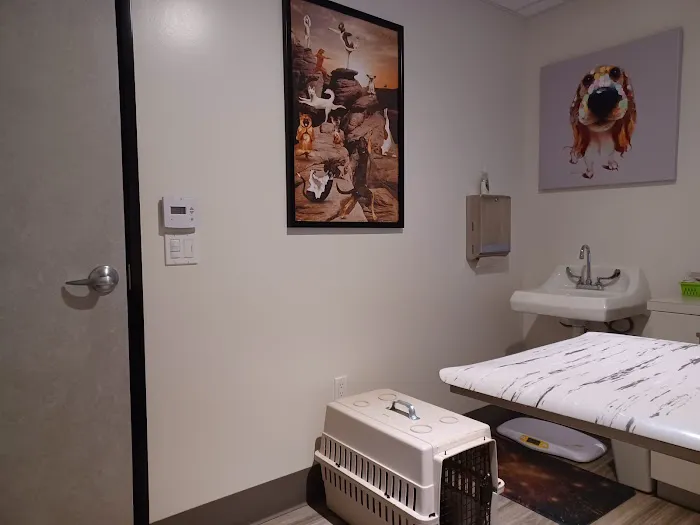 Animal Vision Care & Surgical Center Picture 5