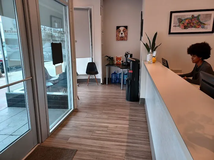 Animal Vision Care & Surgical Center Picture 2