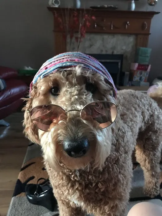 Animal Vision Care & Surgical Center Picture 6