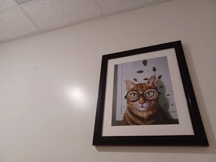 Animal Vision Care & Surgical Center Picture 1