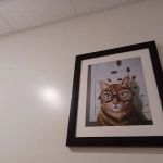 Animal Vision Care & Surgical Center