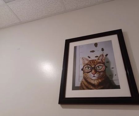 Animal Vision Care & Surgical Center