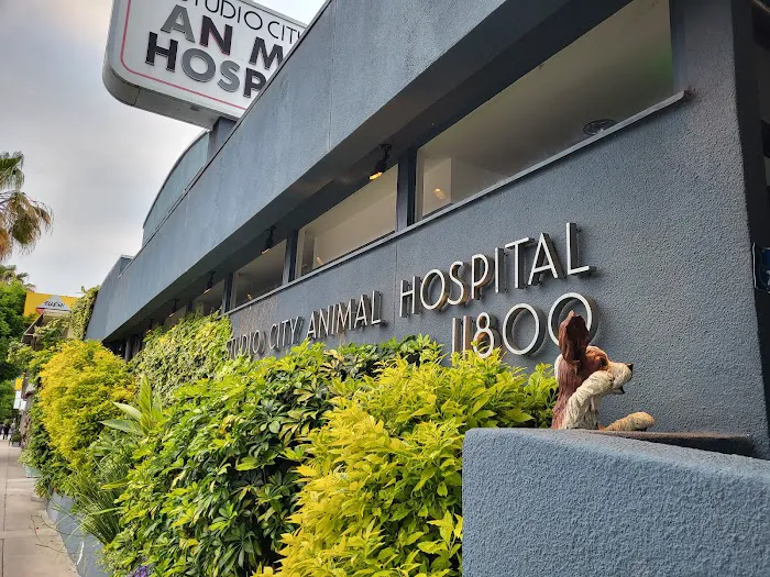 Studio City Animal Hospital Picture 1