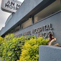 Studio City Animal Hospital ico