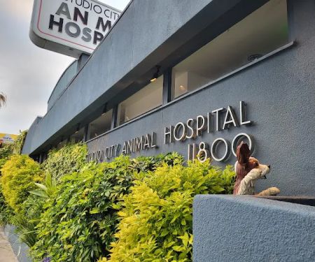 Studio City Animal Hospital
