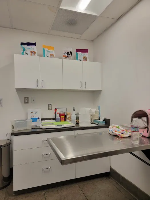 Studio City Animal Hospital Picture 8