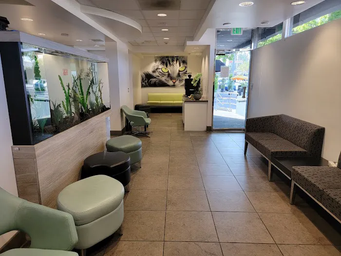 Studio City Animal Hospital Picture 6