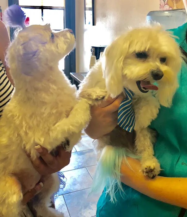 All Creatures Veterinary Center Picture 1