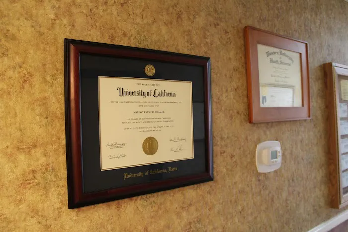 Dr Jennifer Adelini Picture 3