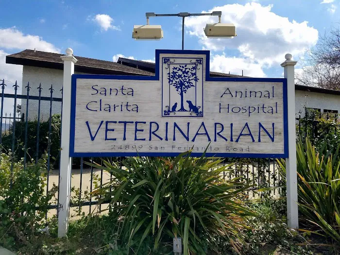 Santa Clarita Animal Hospital Picture 6