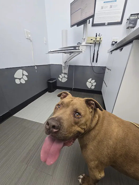 Animal Medical Center Picture 4