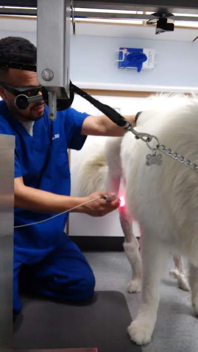 Animal Medical Center Picture 10