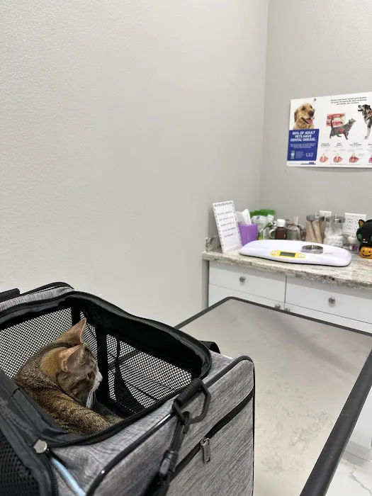 The Old Road Veterinary Center Picture 1
