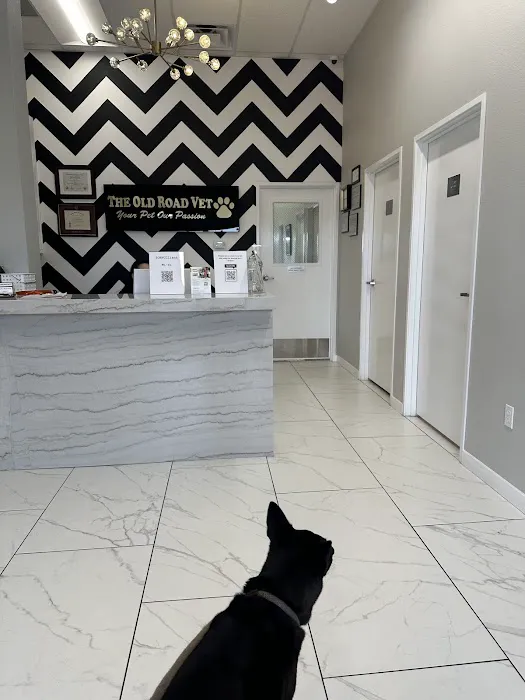 The Old Road Veterinary Center Picture 7