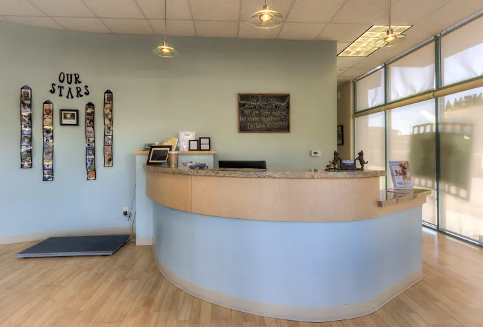 Cinema Veterinary Centre Picture 3