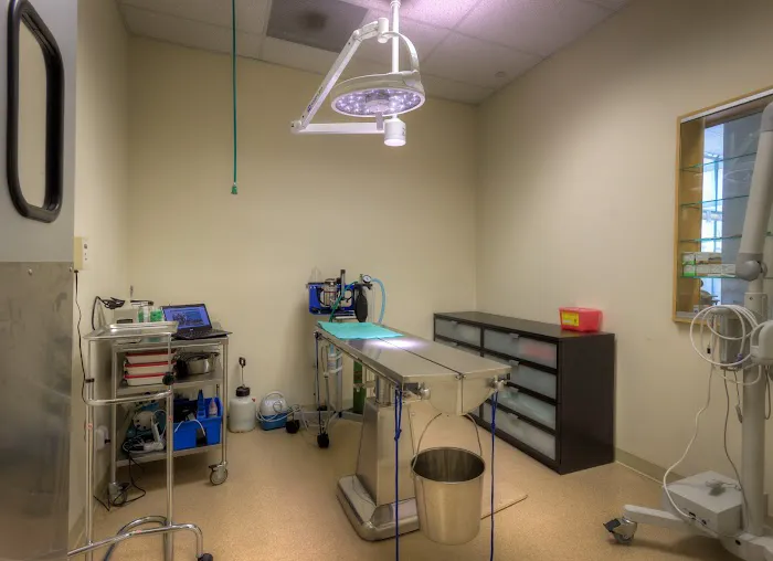 Cinema Veterinary Centre Picture 5