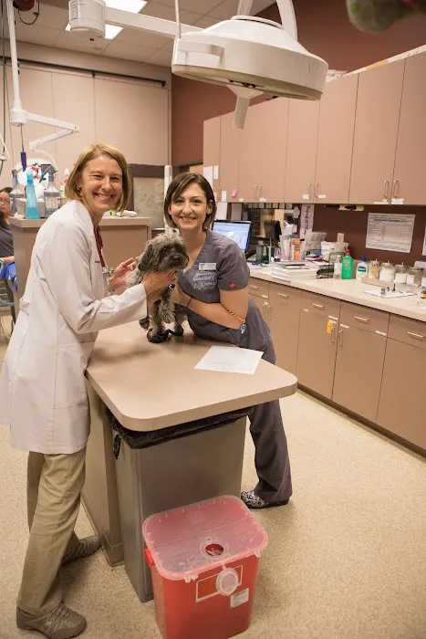 Stevenson Ranch Veterinary Center Picture 5