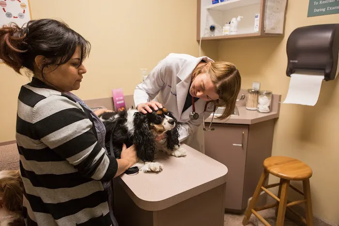 Stevenson Ranch Veterinary Center Picture 4
