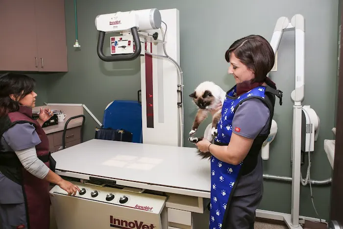 Stevenson Ranch Veterinary Center Picture 6