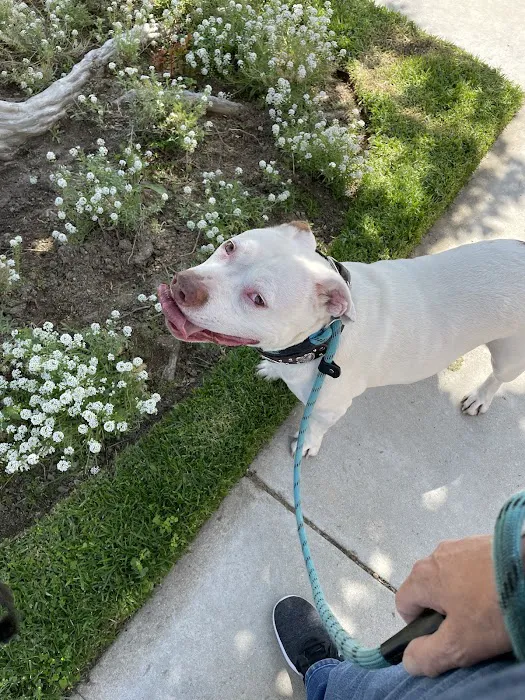 Canyon Country Animal Hospital Picture 4
