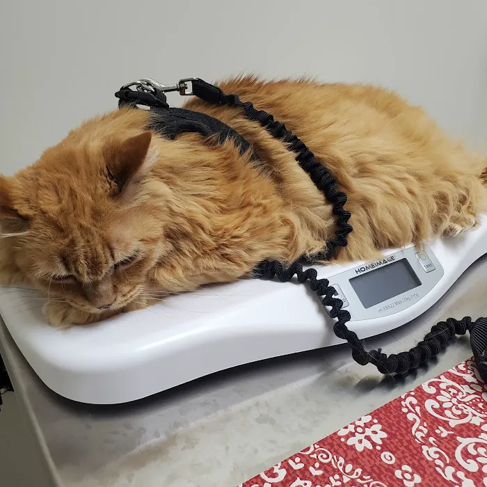 Vetco Total Care Animal Hospital Picture 2