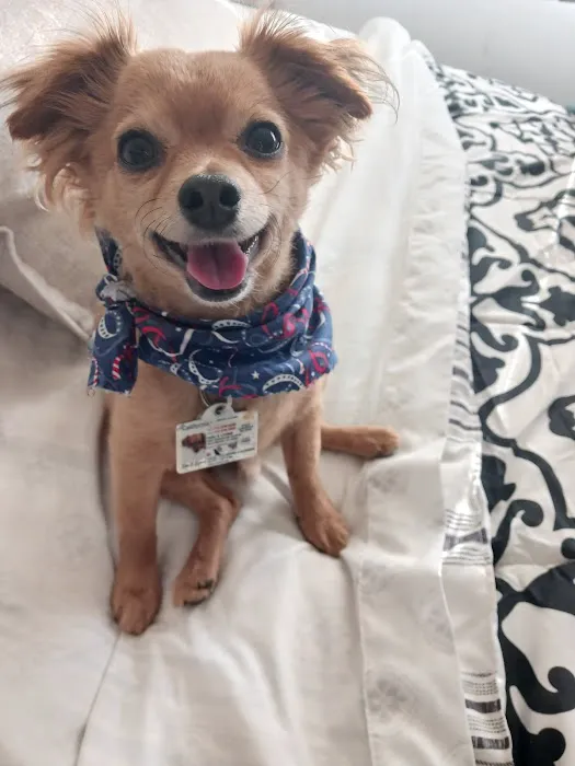 Airport Cities Animal Hospital Picture 9