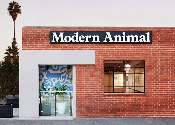 Modern Animal Picture 7