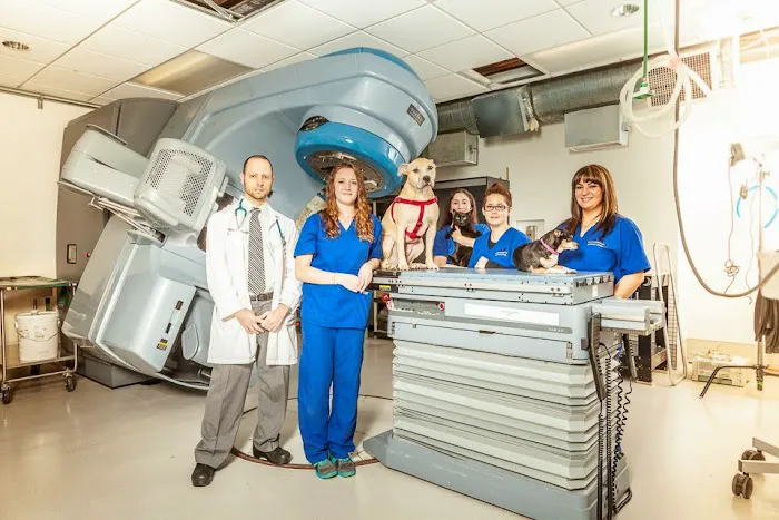 Veterinary Cancer Group LA Picture 10