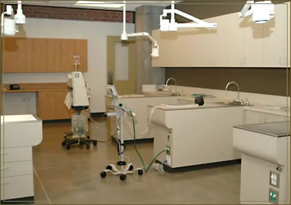 City of Angels Veterinary Specialty Center Picture 3