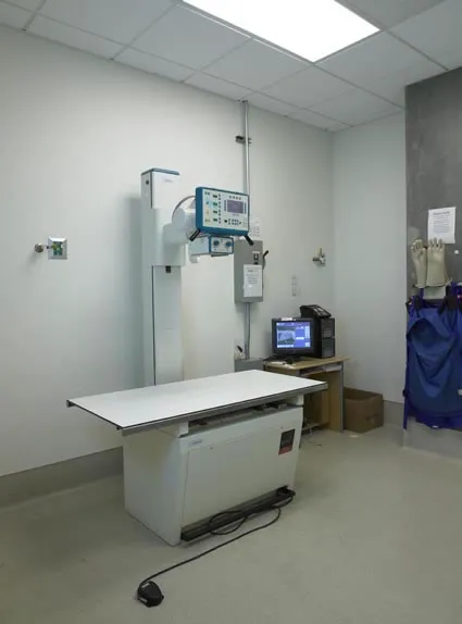 City of Angels Veterinary Specialty Center Picture 4