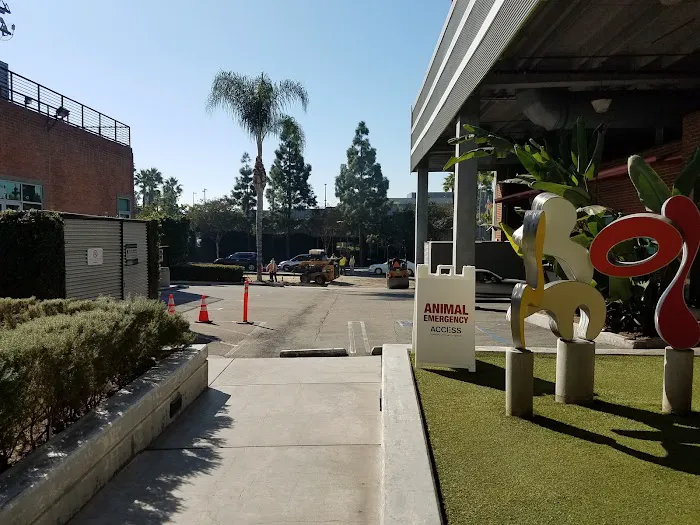 City of Angels Veterinary Specialty Center Picture 7