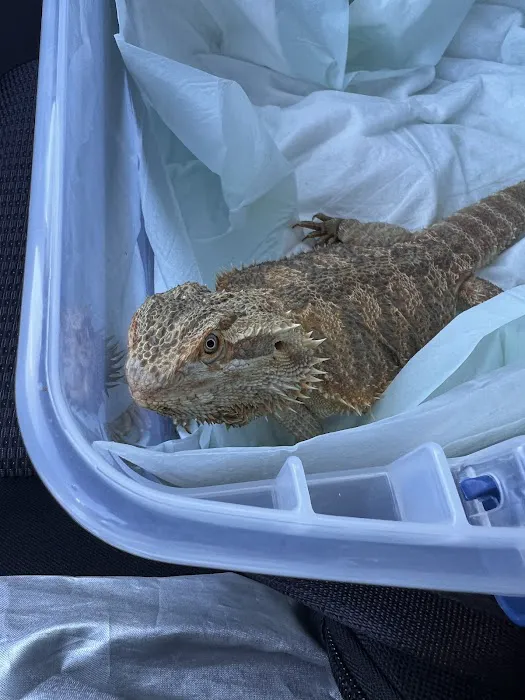 ACCESS Specialty Animal Hospitals - Los Angeles Picture 1