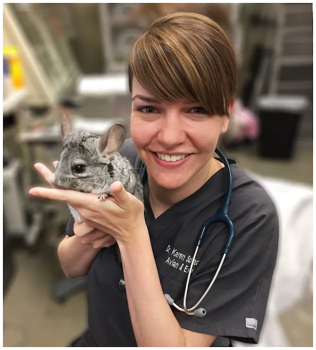 ACCESS Specialty Animal Hospitals - Los Angeles Picture 10