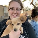 Low Cost Pet Vaccines Culver City at the Boneyard Dog Park