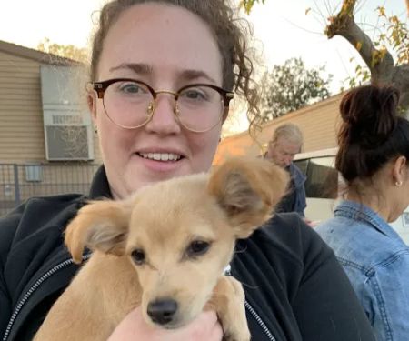 Low Cost Pet Vaccines Culver City at the Boneyard Dog Park