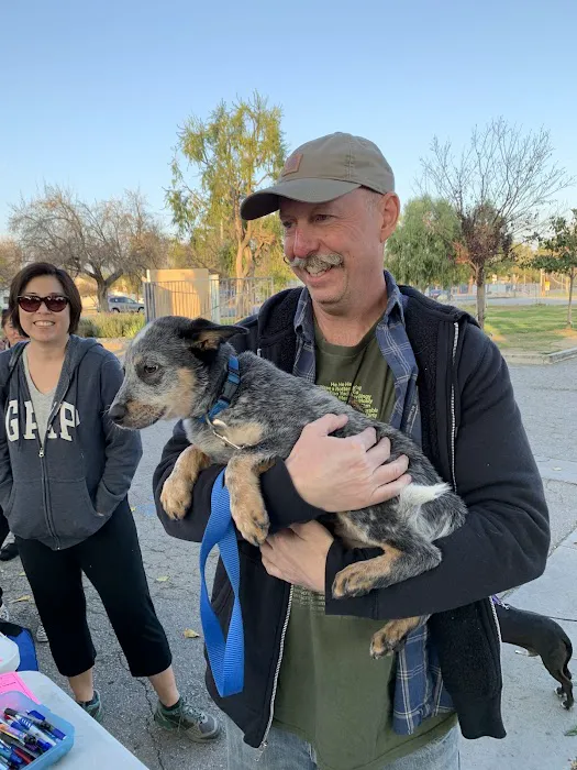 Low Cost Pet Vaccines Culver City at the Boneyard Dog Park Picture 5