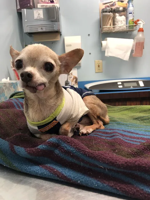 Ladera Pet Clinic Picture 7
