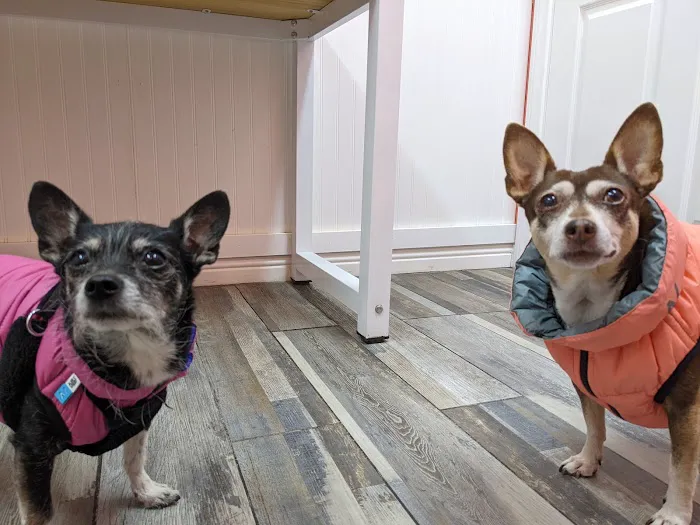 Ladera Pet Clinic Picture 10