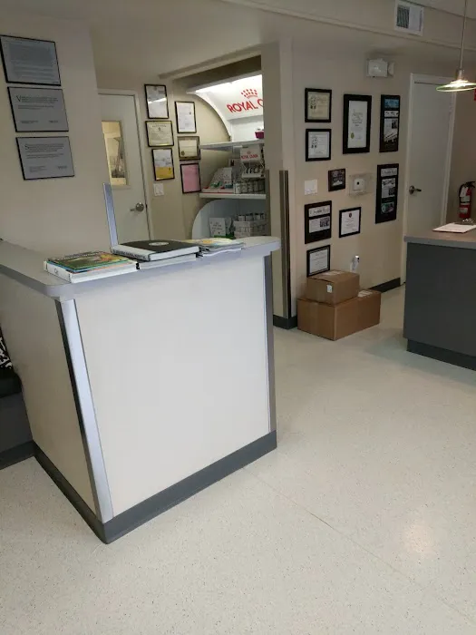 El Segundo Animal Hospital Picture 10