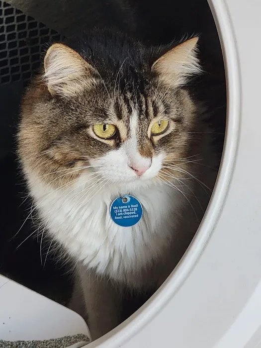 TrueCare for Pets Picture 2