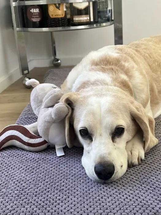 TrueCare for Pets Picture 3