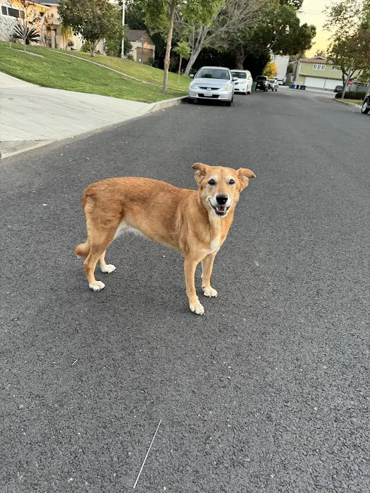 TrueCare for Pets Picture 6