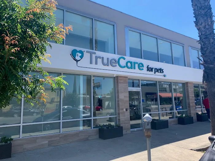 Dr. Emilie Chaplow, DVM Internal Medicine - TrueCare For Pets Picture 7
