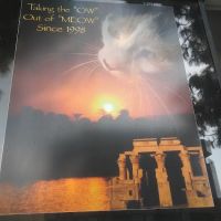 Bastet Cat Hospital, inc. ico