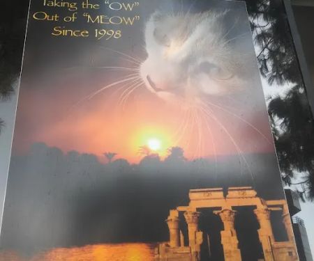 Bastet Cat Hospital, inc.