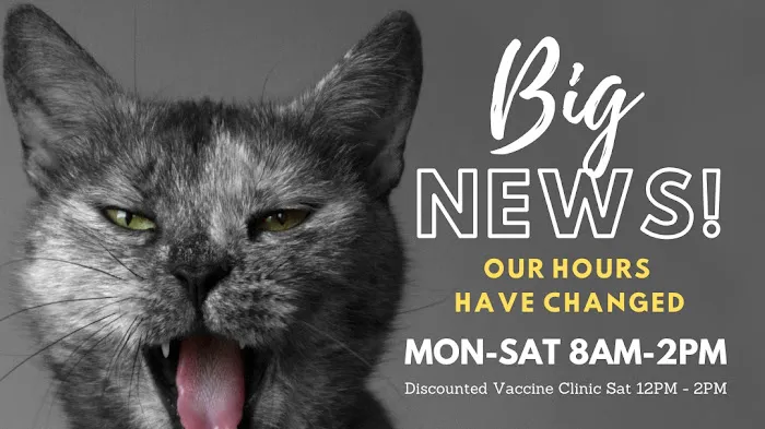 Bastet Cat Hospital, inc. Picture 9