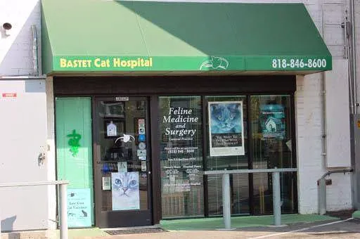 Bastet Cat Hospital, inc. Picture 8