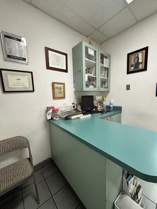 Bastet Cat Hospital, inc. Picture 7